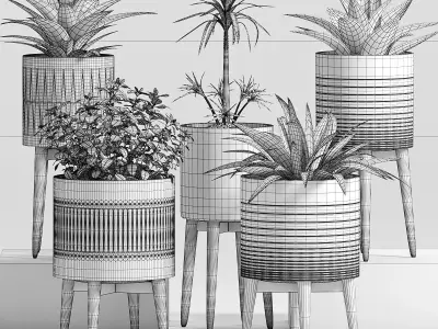 Decorative plant set-15 3D model