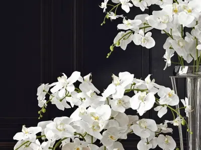 Orchid three vases with orchids 3D model