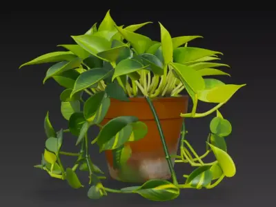 Realistic 3D Pothos Money Plant in Clay Pot 3D model