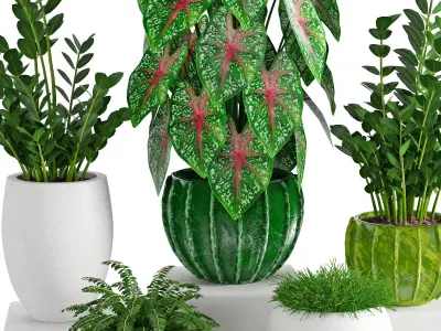 Houseplant 41 3D model