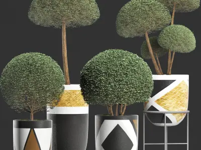 Plants Collection 195 Ligustrum 3D model