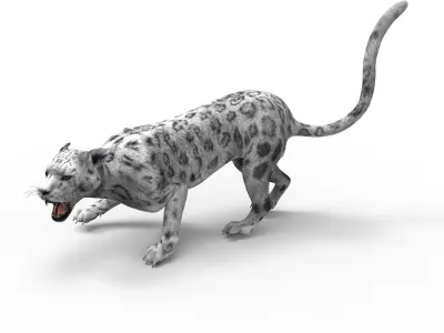 3D Snow leopard Rigged Model Low-poly 3D model