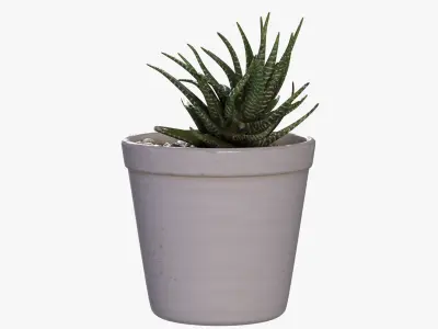 DESK PLANT Low-poly 3D model