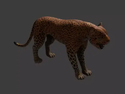 Leopard Rigged Optimized and Game Ready High Quality Mesh Low-poly 3D model