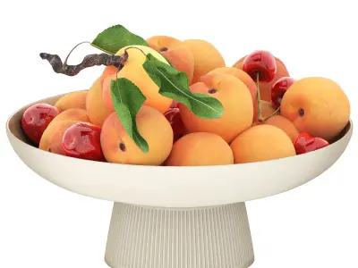 bowl of apricots and cherries 3D model