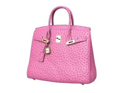 Hermes Birkin Bag  3D Model Pack