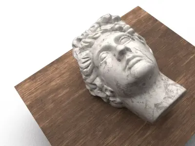 The Head of David 3D print model