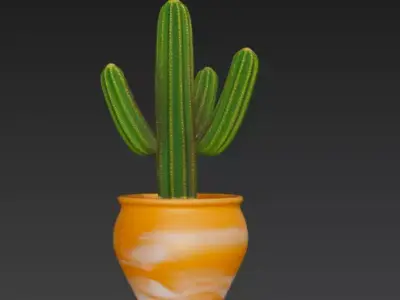 Cactus Pot Plant 3d Model 3D model