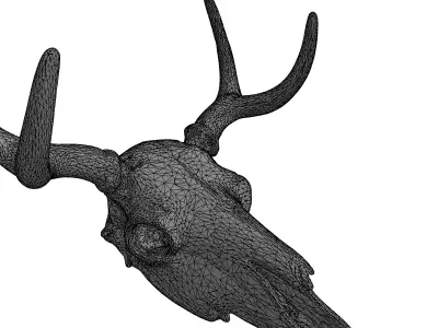 Realistic Aged Deer Skull with Antlers Low-poly 3D model