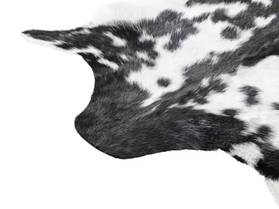 Goatskin Cowhide Rug A27546 3D model