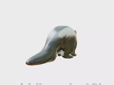 Striped Skunk Realistic 3D Model Low-poly 3D model