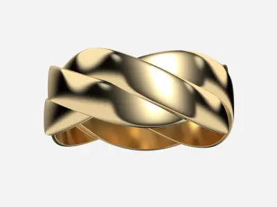 Twist Ring 3D print model