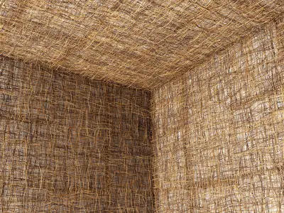 Ceiling canopy branch thin crooked n2 3D model