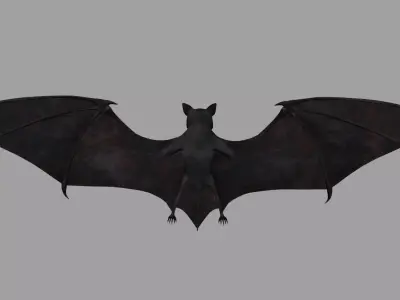 Bat-Rigged 3D model