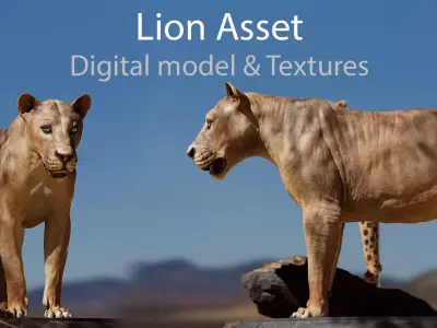 Lion Asset - Digital Model and Textures Low-poly 3D model