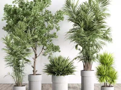 indoor plant set 442 plant tree palm grass bush Low-poly 3D model