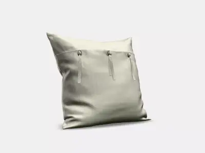 AINA Cushion cover 2 3D model