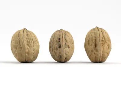 Three Different Photorealistic Walnut 3D Scans 3D model
