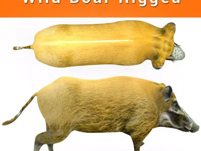 3D Wild Boar Rigged 3D Model Low-poly 3D model