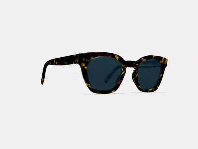Terrell Sunglasses in Black Oak Tortoise 3D model