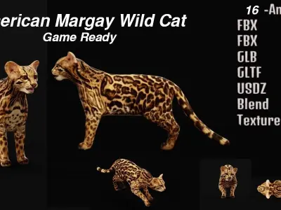 American Margay Wild Cat Low-poly 3D model