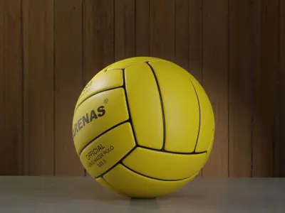 Water Polo Ball 3D model