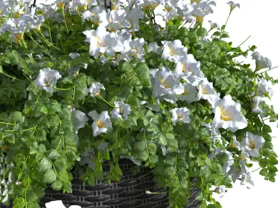 Hanging basket flowerpot rattan pot with flowers 3D model get