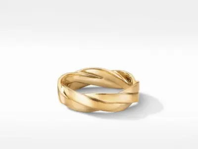 Twist Ring 3D print model