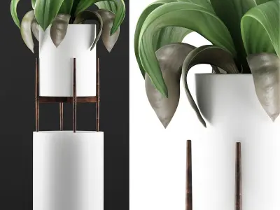 Plants Collection 91 3D model