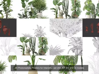 20 Photorealistic Flowers for Interiors - set 204 207 211 212 3D Model Collection
