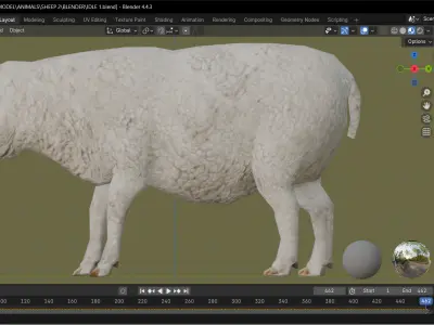 SHEEP ANIMATED 6 COLORS 3 Low-poly 3D model
