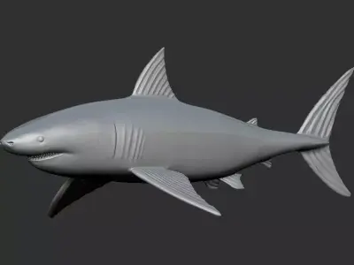 White Shark 3D print model