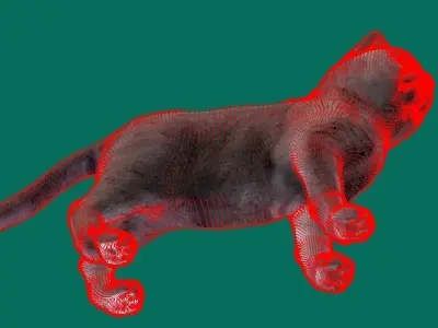 British ShortHair Cat 3D model