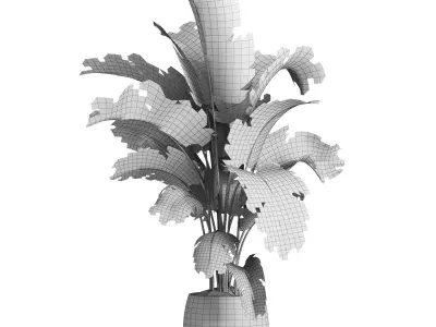 indoor plant 036 3D model