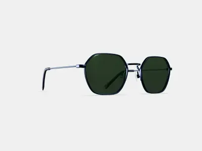 Keiko Sunglasses in Brushed Ink 3D model