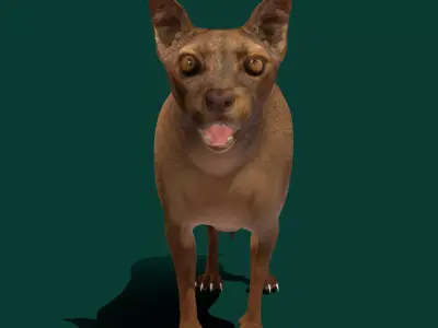 Fossa Animal 3D model