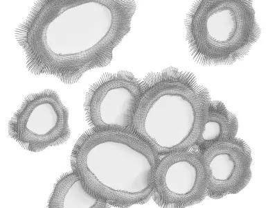 Sea Anemone Mirror Set by Pia Maria Raeder 3D model