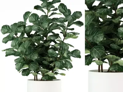 Plants collection 98 3D model