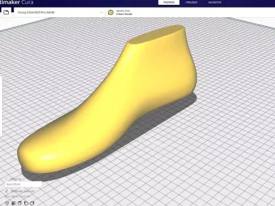 Shoes Lasts - Sport 3D print model 3D model