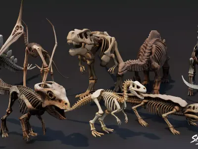 Dinosaur Fossil Pack VOL1 Low-poly 3D model