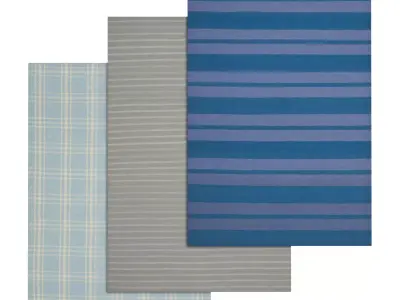 Rug Set 211 3D model