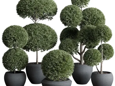 Topiary plant in an old concrete pot 3D model