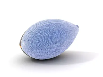 Glossy Black Capsule model pack Low-poly 3D model