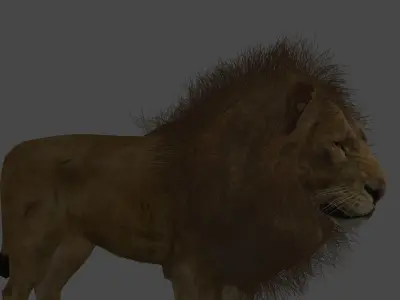 lion with full rig 3D model