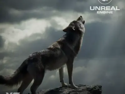 Wolf  UE Character Asset 3D model