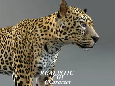 Leopard jaguar 3D model