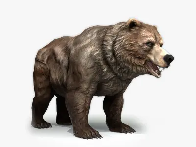 Grizzly Bear Low Poly  Low-poly 3D model