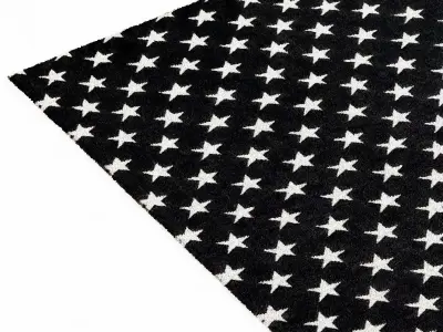 Restoration Hardware Liberty Star Flatweave Rug 3D model