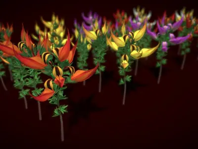 Flower Lotus Berthelotii Low-poly 3D model