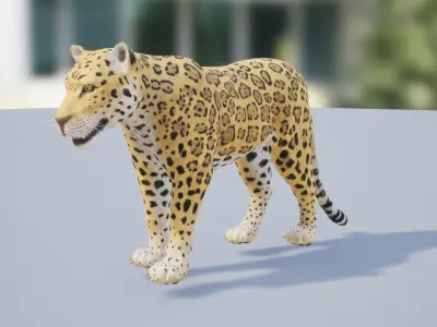 Pack of wild cats Low-poly 3D model